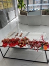 嘉泰物業|端午節，揚帆日，一“粽”定乾坤！